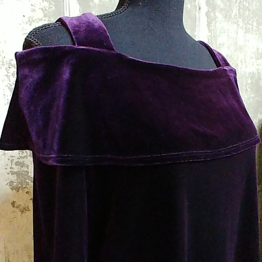 Susan Graver velour top